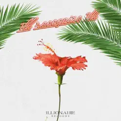 1ll Recognize 1ll - Single - Dok2 1ll Recognize 1ll - Single - Dok2