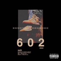 602 - Single - esh