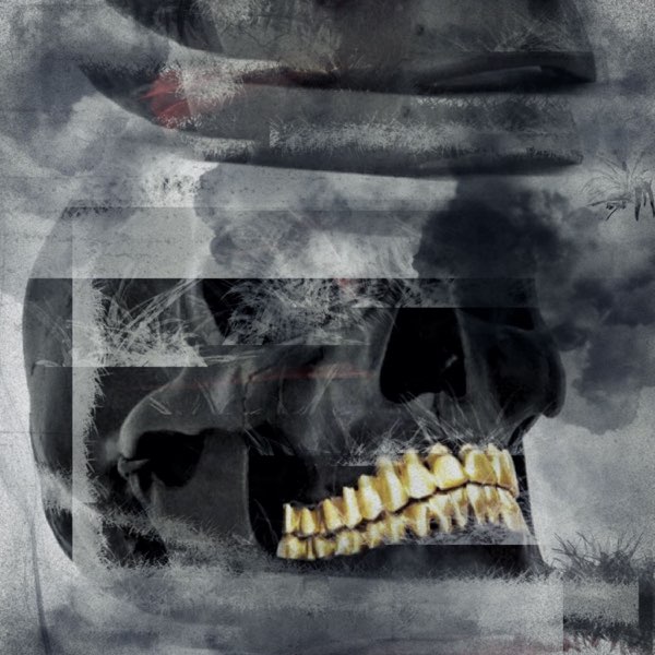 GOTH NIGGA (feat. Fuego Flames) - Single - Album by Ralphy Sway