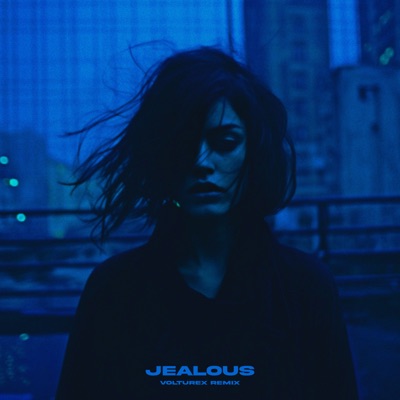 Jealous (feat. Volturex) [Volturex Remix] - Single