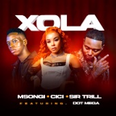 Xola (feat. Dot Mega) artwork