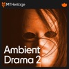 Ambient Drama  2