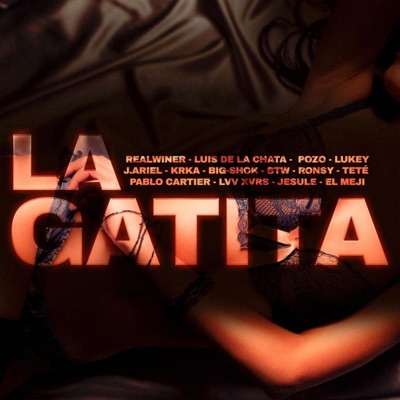 La Gatita (feat. Jesule Fernández, El Pozo, Luis de la Chata, Lukey, J. Ariel, Krka, Big-Shok, Btw, Ronsy, Teté, PabloCartier, Lvv Xvrs & El Meji) - Single