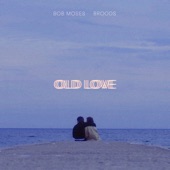 Old Love (feat. BROODS) artwork