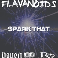 Spark That (feat. Dan-e-o & Royce 5'9) - Single - Flavonoids