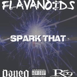 Spark That (feat. Dan-e-o & Royce 5'9) Flavonoids