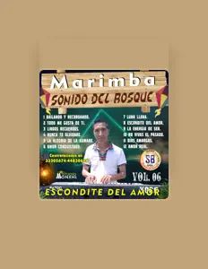 Marimba Sonido del Bosque: песни, клипы, биография, даты выступлений и многое другое.