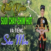 Thư Giãn Với Tiếng Suối Chảy Chim Hót Và Tiếng Sáo Mèo Vùng Cao Tây Bắc artwork