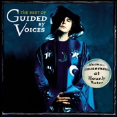 The Best of Guided By Voices: Human Amusements At Hourly Rates artwork