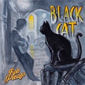 Rob Picazo - Black Cat