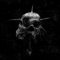 What He Says (Axkan Remix) - Vlaysin lyrics