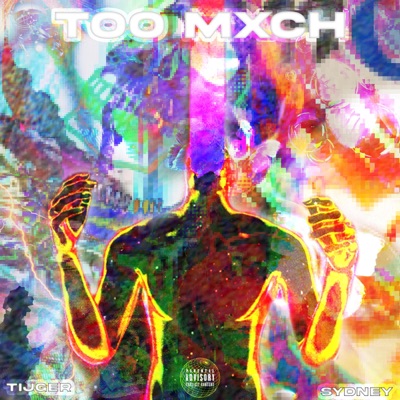 too mxch (feat. syd) - Single