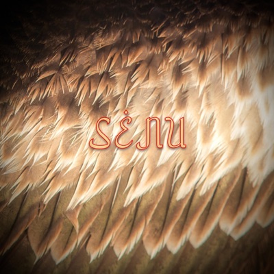 SENU (feat. Lawiss, JTD & Condor) - Single