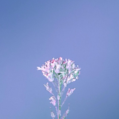 A Flower For My Grave. - EP