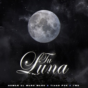 Tu Luna (feat. Tiago pzk) - Single