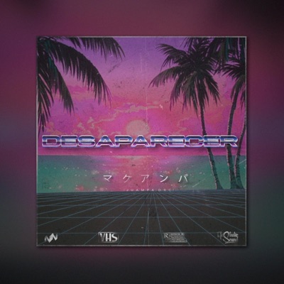 Desaparecer - Single