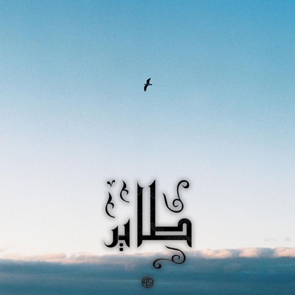Tayr