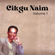 Cicak - Cikgu Naim