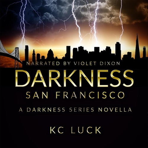 Darkness San Francisco: The Darkness Series, Book 5 (Unabridged) cover