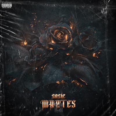 Martes 13 - Single