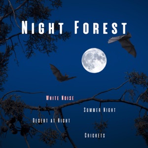 Night Forest, Crickets, Summer Night, Desert at Night, White Noise, Loopable