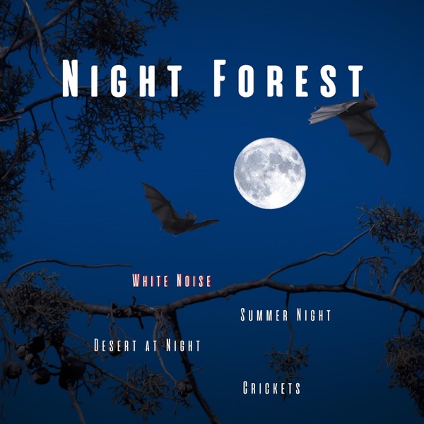 Night Forest, Crickets, Summer Night, Desert at Night, White Noise, Loopable
