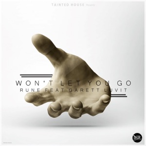 Won't Let You Go (feat. Garett Luvit) - Single