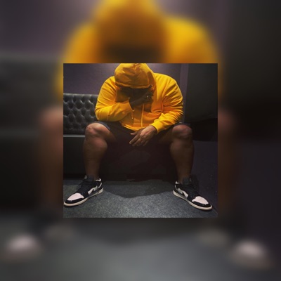 Bitch - Single