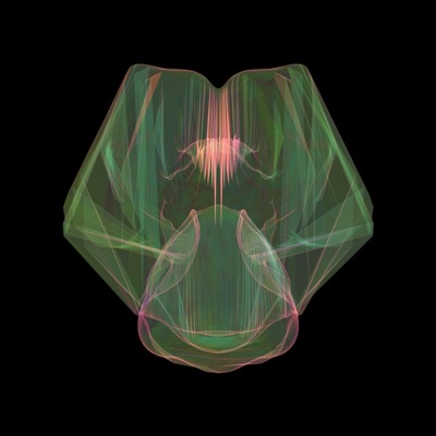 100% feelings 50% drugs - EP