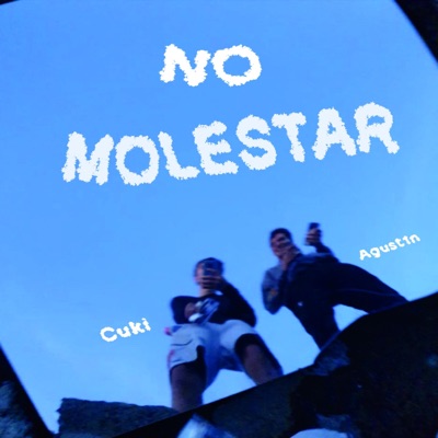 no molestar (feat. Agust1n) - Single