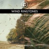 Wind Ringtones - Healing Power of Nature Sounds for Sleep and Relaxation, Storm Music