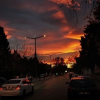 29° - Single - indica.