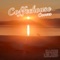 Can't Stop Loving You - Hanne Leland lyrics