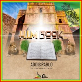 Addis Pablo feat. Leroy "Badness" Penecott - HIM Book