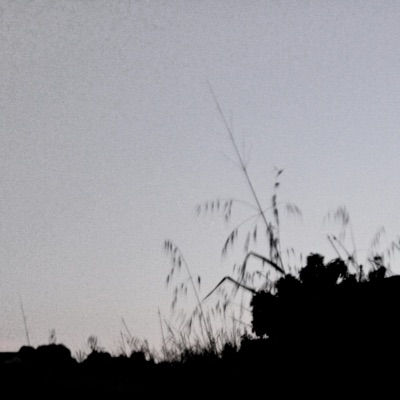 Gallxws (feat. Drip Lich) - Single