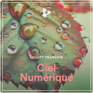 Ciel Numérique