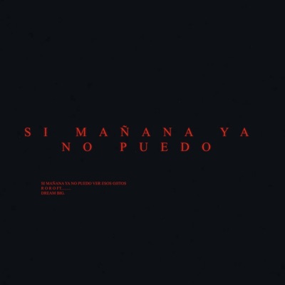 si mañana ya no puedo - Single