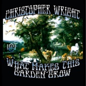 Christopher Wright - Little Miss Understanding