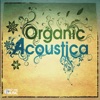 Olivier Foubert A Hint of Black Organic Acoustica