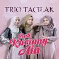 trio tacilak