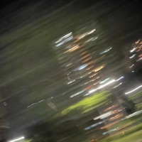 Found - Single - fauna