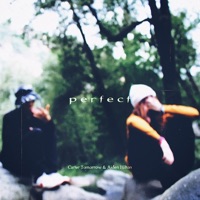 Perfect - Single - Carter Tomorrow & Aiden Hilton