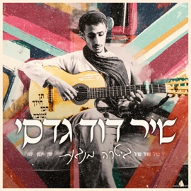 שיר ישן (גיטרה מנגנת) Shir David Gadasi