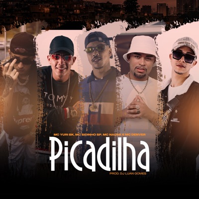 Picadilha (feat. Dj Luan Gomes, MC SIDINHO SP & Tropa da W&S) - Single