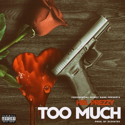 Too Much - Single