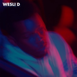days.LIMBO. WesLi D