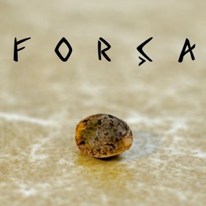 Força - Single