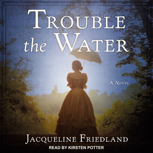Trouble the Water : A Novel cover