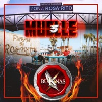 Muelle 5 - Single - Buknas De Culiacan