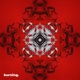 Burning Single